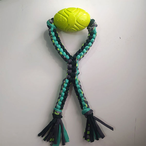 Mordedor pelota ovalada
