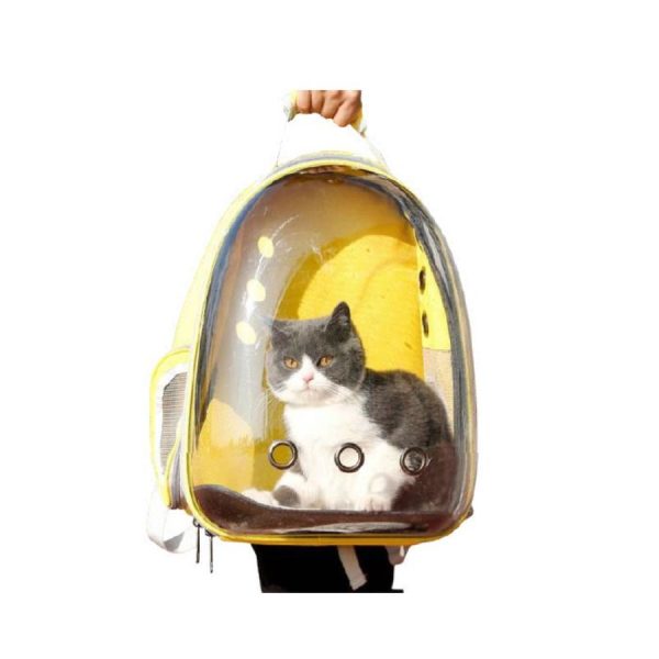 Morral Transparente en Lona - Imagen 4