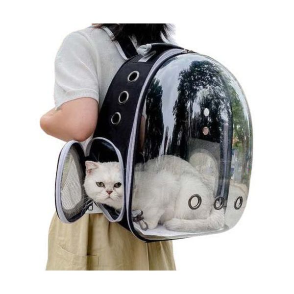 Morral Transparente Impermeable - Imagen 4